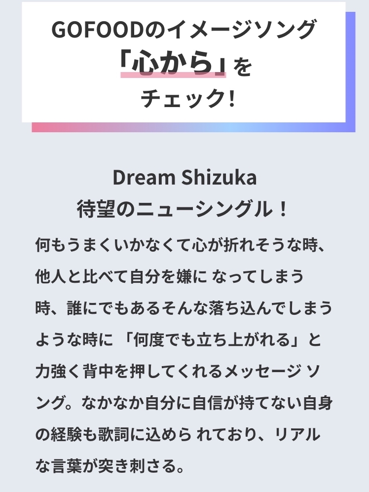 Shizukaさんセット