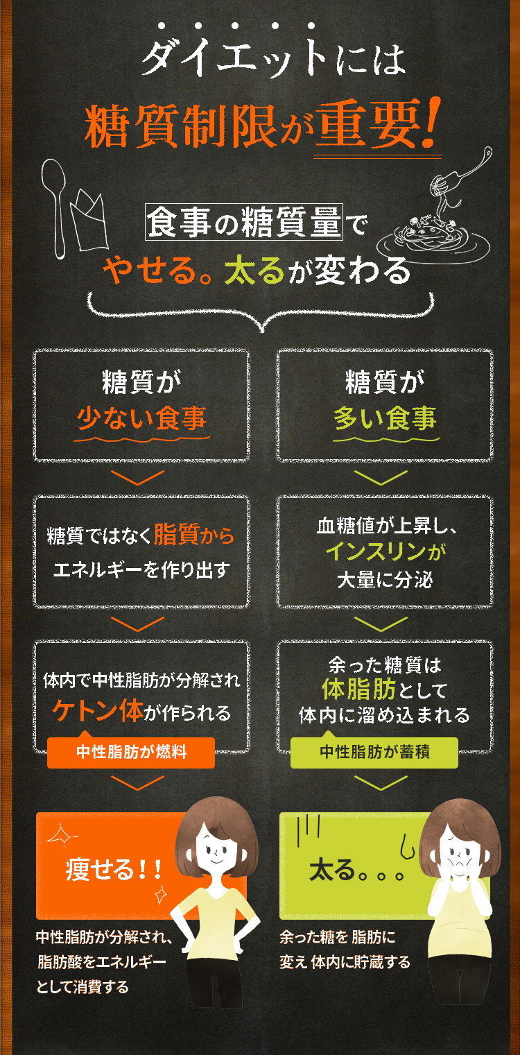 ダイエットには 糖質制限が重要！